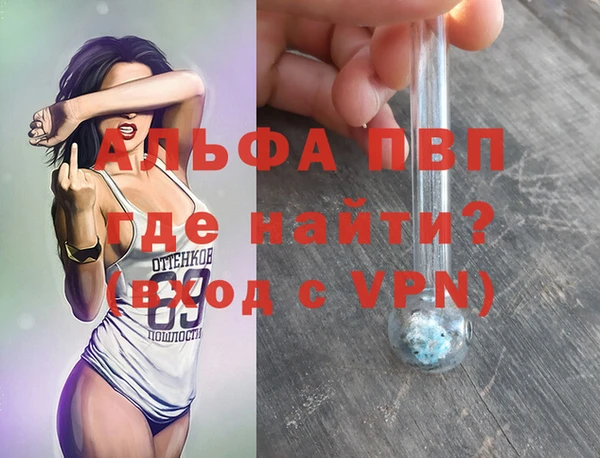 гидра Аркадак