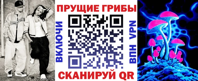 Галлюциногенные грибы Psilocybe  блэк спрут маркетплейс  Сясьстрой 